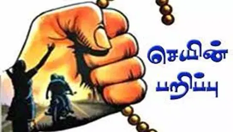 வீட்டில் வைத்திருந்த 11¼ பவுன் தாலி செயின் திருட்டு