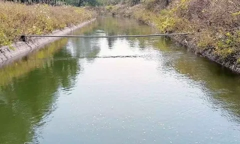 கோப்புபடம்.&nbsp;