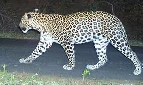 கோப்புபடம்.&nbsp;