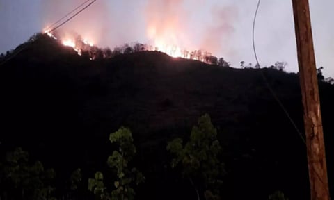 கோதையாறு மலை பகுதியில் காட்டு தீ.&nbsp;