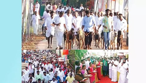 கிடாக்களை சீர்வரிசையாக கொண்டுவந்த கிராம மக்கள்.