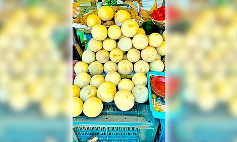 விற்பனைக்காக குவிந்துள்ள கிர்ணி பழங்கள்.