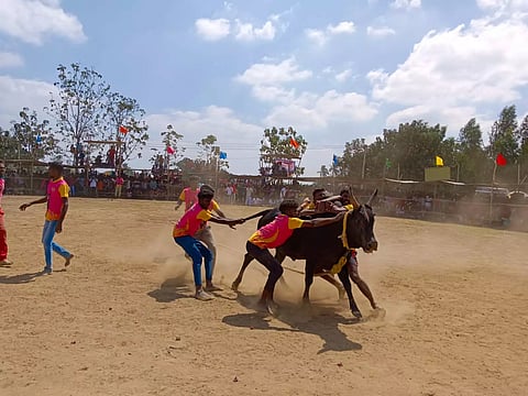 கறம்பக்குடி அருகே வடமாடு மஞ்சுவிரட்டு