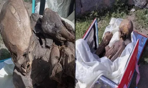 அது 'மம்மி' அல்ல.. ஜூவானிட்டா எனது ஆன்மீக காதலி.. வாலிபரின் பதிலால் அதிர்ச்சியில் உறைந்த போலீஸ்