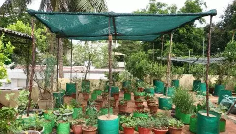 விவசாயிகள் மூலிகை தோட்டம் அமைக்க மானிய விலையில் இடுபொருட்கள்