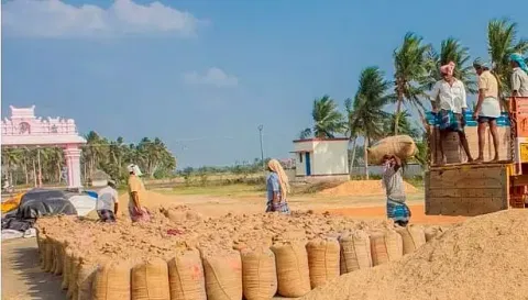 கீரிப்பட்டியில் நெல் கொள்முதல் நிலையம்