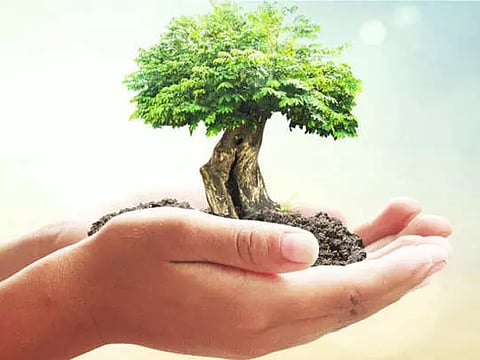 தமிழ்நாடு பசுமை சாதனையாளர் விருது பெற விண்ணப்பிக்க அழைப்பு