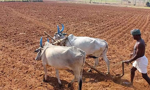 கோப்புபடம்.&nbsp;