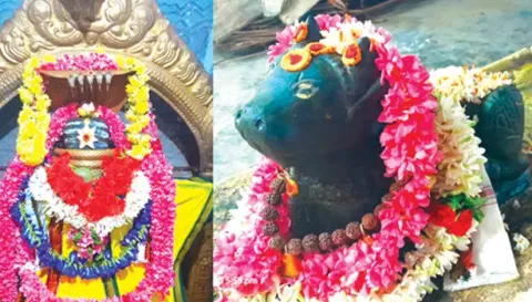 கோப்பணம்பாளையம் பரமேஸ்வரர், நந்தி பெருமான் சிறப்பு அலங்காரத்தில் அருள்பாலித்த காட்சி.