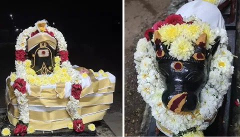 ஆற்காடு ஆதி மஹாலிங்கேஸ்வரர் கோவிலில் பிரதோஷ விழா