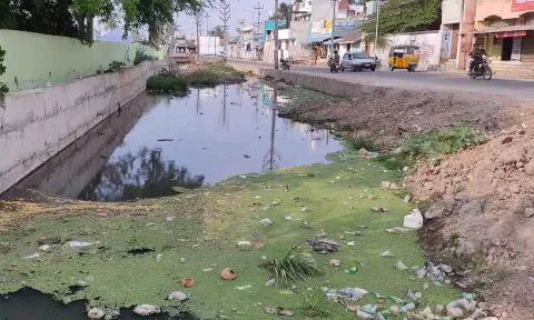 ஓடையில் தேங்கும் கழிவுநீரை படத்தில் காணலாம்.