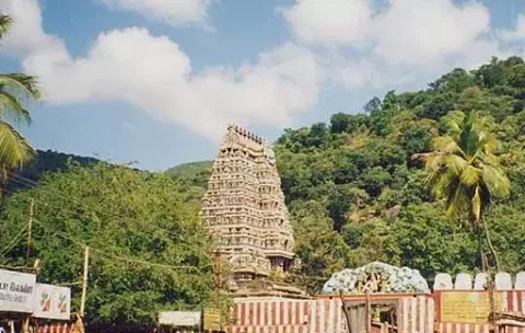 கள்ளழகர் கோவில் மாசி தெப்ப உற்சவம்