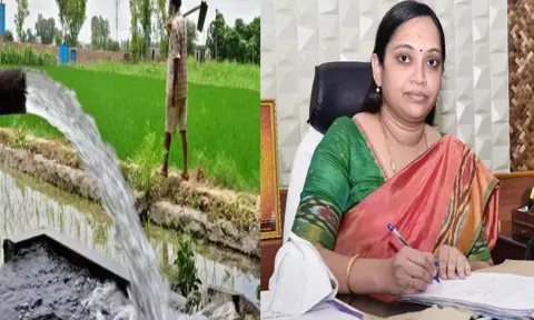 ஆதிதிராவிடர், பழங்குடியினத்தை சேர்ந்த விவசாயிகளிடம் இருந்து துரித மின் இணைப்பு வழங்க விண்ணப்பங்கள் வரவேற்பு - கலெக்டர் தகவல்