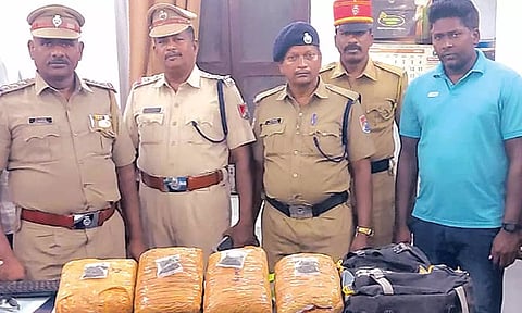 போலீசாரால் பறிமுதல் செய்யப்பட்ட கஞ்சா பார்சல்களை படத்தில் காணலாம்.