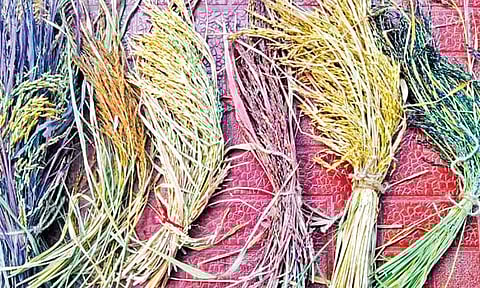 மரபு ரக நாட்டு அரிசி