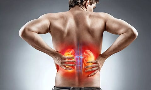 உலகம் முழுவதும் 80 கோடி பேர் சிறுநீரக நோயால் பாதிப்பு: ஆய்வில் தகவல்