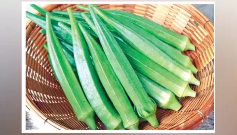 சேலத்தில் வெண்டைக்காய் கிலோ ரூ.100 ஆக எகிறியது
