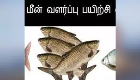 நாமக்கல்லில் இலவச மீன் வளர்ப்பு பயிற்சி