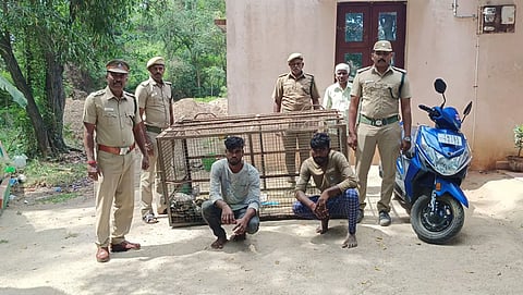 அரியவகை ஆமைகளை கடத்திய 2 வாலிபர்களை படத்தில் காணலாம்.