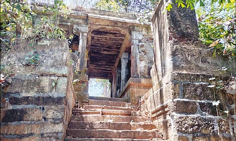 கல்மண்டபம் மீது வளர்ந்துள்ள செடி, கொடிகளை படத்தில் காணலாம்.