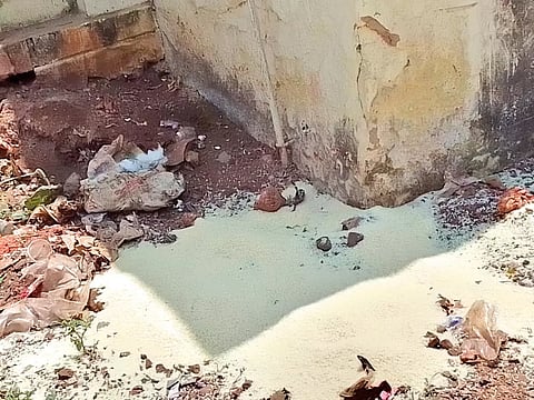 குப்பையில் கொட்டப்பட்டுள்ள ரேசன் அரிசிகள்.