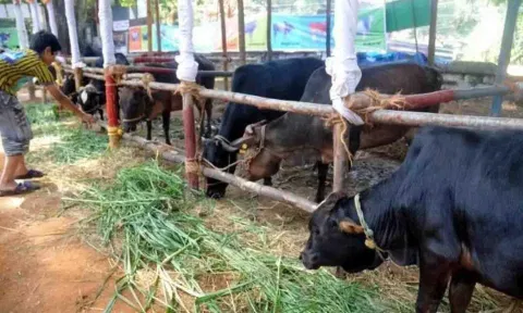 கோப்புபடம்.
