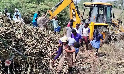 சாலையோர பள்ளத்தில் கவிழ்ந்த டிராக்டர் கரும்புக்கு அடியில் மாட்டிக் கொண்ட கல்லூரி மாணவரால் எறும்பூர் கிராமத்தில்  பரபரப்பு ஏற்பட்டது.