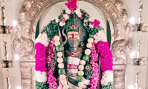 சிறப்பு அலங்காரத்தில் அருள்பாலித்த பைரவர்.