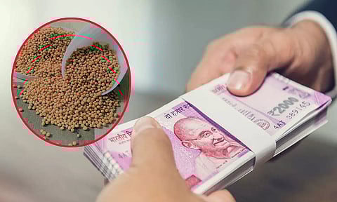 இந்த கடுகு பரிகாரத்தை 3 வாரம் செய்தால் கடன் பிரச்சனை ஒரு முடிவுக்கு வந்துவிடும்...