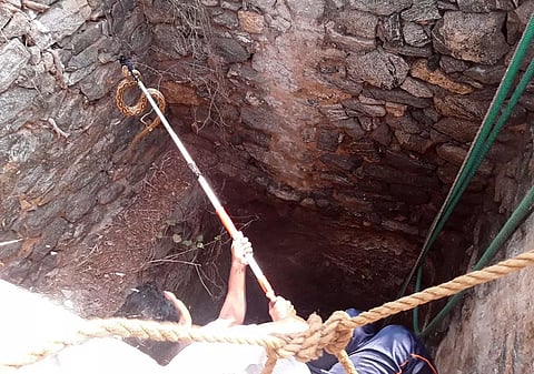 கிணற்றுக்குள் தவறி விழுந்த கட்டுவிரியன் பாம்பு