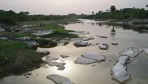 நொய்யல் ஆற்று தண்ணீரில் உப்பு தன்மை அதிகரிப்பு