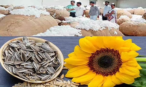 கோப்புபடம்.