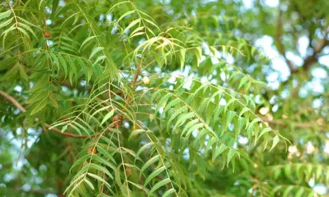 கோப்புபடம்.