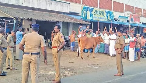 பவானி தளவாய்பேட்டையில் பசு மாட்டுடன் பால் உற்பத்தியாளர்கள் கண்டன ஆர்ப்பாட்டம்