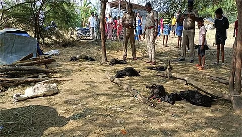 சம்பவ இடத்தில் போலீசார் விசாரணை நடத்திய காட்சி.