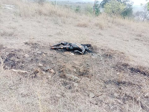 ஆண் உடல் எரிந்த நிலையில் உள்ளதை படத்தில் காணலாம்.