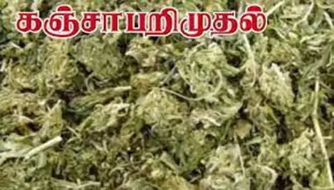 10 கிலோ கஞ்சாவுடன் வந்த வாலிபர் தப்பி ஓட்டம்