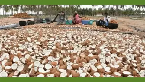 குறைந்தபட்ச ஆதார விலையில் தேங்காய் கொப்பரை கொள்முதல்