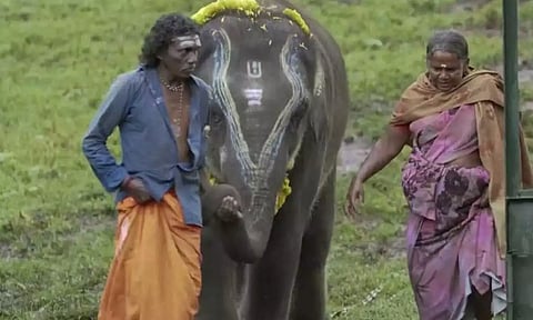 தி எலிஃபேண்ட் விஸ்பரர்ஸ் - பொம்மன் - பெள்ளி