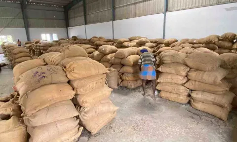 விற்பனைக்கு வந்த சூரியகாந்தி விதை மூட்டைகள்.&nbsp;