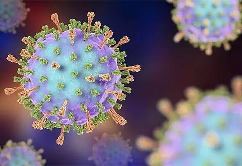 கோப்புப்படம்.