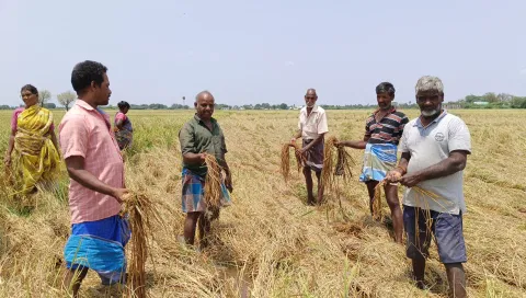 பயிர்கள் தண்ணீர் மூழ்கியதால் விவசாயிகள் வேதனை