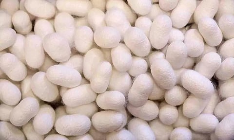 கோப்புபடம்.