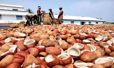 கோப்புபடம்.