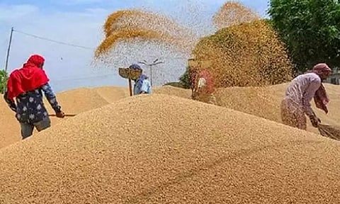 கோதுமை ஏற்றுமதிக்கு தடை நீடிக்கும் - இந்திய உணவு கழகம் தகவல்