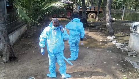 பன்றி பண்ணை இருக்கும் பகுதிக்கு பொதுமக்கள் செல்ல 1 ஆண்டு தடை