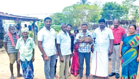 வீதிகளில் துள்ளி விளையாடிய புள்ளிமான் குட்டியை பொதுமக்கள் பிடித்து வைத்திருந்தபோது எடுத்த படம்.