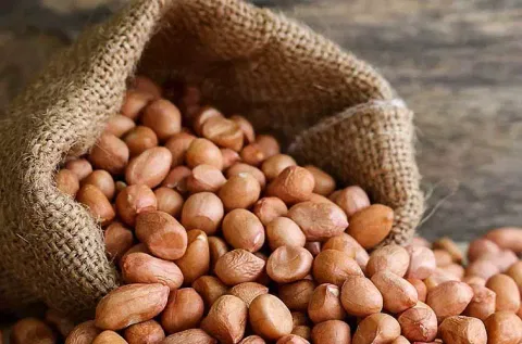 ரூ.4 லட்சத்து 36 ஆயிரத்துக்கு நிலக்கடலை விற்பனை