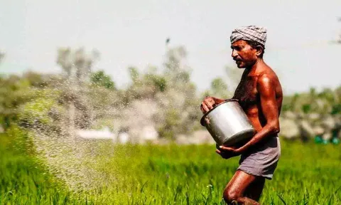 கோப்புபடம்.