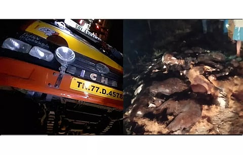 கிருஷ்ணகிரி சோமநாதபுரம் மேம்பாலம் அருகே லாரி கவிழ்ந்ததில் 30 ஆடுகள் பலியாகியது.